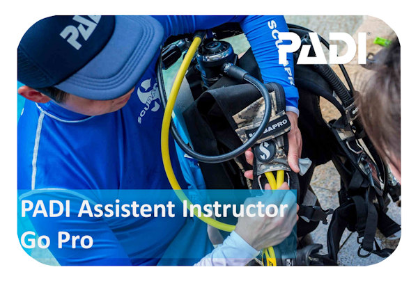 PADI Assistent Instructor Kurs
