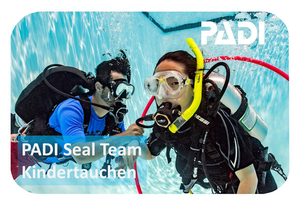 PADI Seal Team Kurs